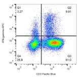 Flow Cytometry - Anti-Interferon gamma Antibody [4S.B3] (APC) (A86378) - Antibodies.com