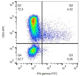 Flow Cytometry - Anti-Interferon gamma Antibody [4S.B3] (FITC) (A86380)
