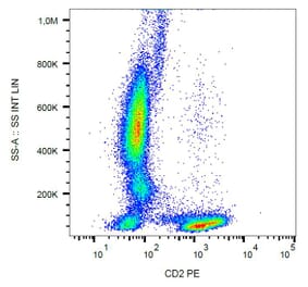 Flow Cytometry - Anti-CD2 Antibody [MEM-65] (PE) (A86381)
