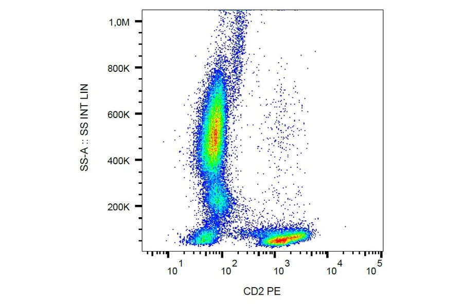 Flow Cytometry - Anti-CD2 Antibody [MEM-65] (PE) (A86381)