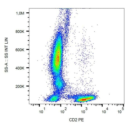 Flow Cytometry - Anti-CD2 Antibody [MEM-65] (PE) (A86381)