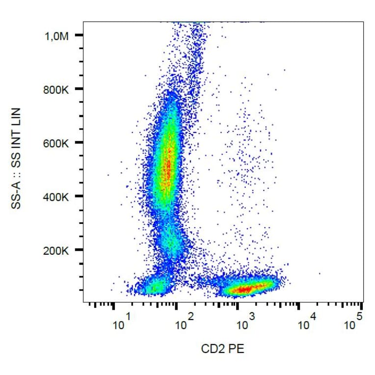 Flow Cytometry - Anti-CD2 Antibody [MEM-65] (PE) (A86381)
