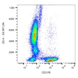 Flow Cytometry - Anti-CD2 Antibody [MEM-65] (PE) (A86381)
