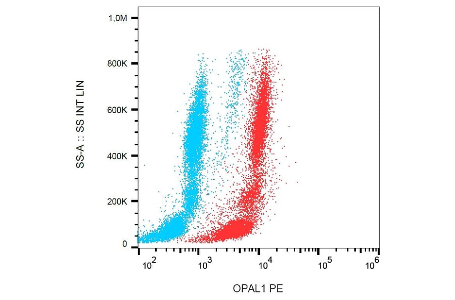 Flow Cytometry - Anti-OPAL1 Antibody [OPAL1-01] (PE) (A86382) - Antibodies.com