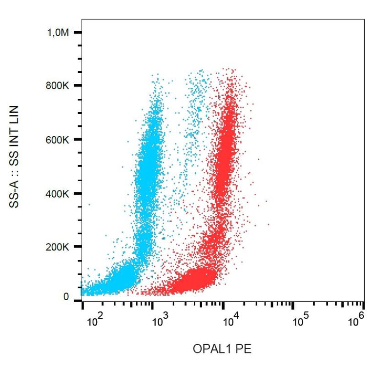 Flow Cytometry - Anti-OPAL1 Antibody [OPAL1-01] (PE) (A86382) - Antibodies.com
