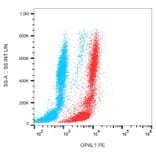 Flow Cytometry - Anti-OPAL1 Antibody [OPAL1-01] (PE) (A86382) - Antibodies.com