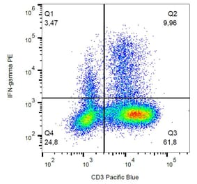 Flow Cytometry - Anti-Interferon gamma Antibody [4S.B3] (PE) (A86384)