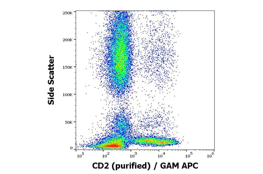 Flow Cytometry - Anti-CD2 Antibody [MEM-65] (A86387)
