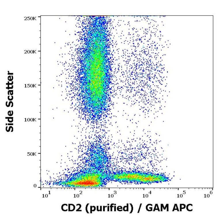 Flow Cytometry - Anti-CD2 Antibody [MEM-65] (A86387)