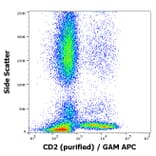 Flow Cytometry - Anti-CD2 Antibody [MEM-65] (A86387)