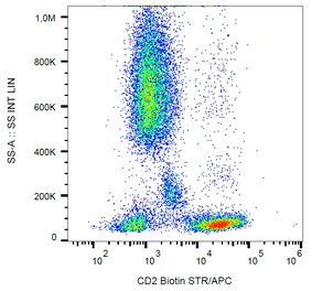 Flow Cytometry - Anti-CD2 Antibody [MEM-65] (Biotin) (A86392)