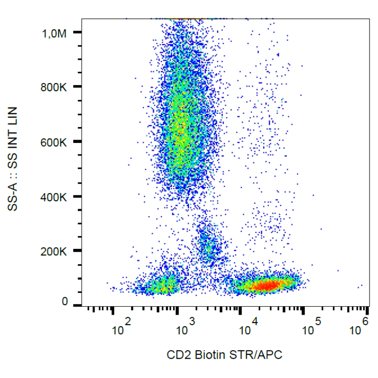 Flow Cytometry - Anti-CD2 Antibody [MEM-65] (Biotin) (A86392)