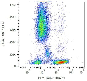 Flow Cytometry - Anti-CD2 Antibody [MEM-65] (Biotin) (A86387) - Antibodies.com