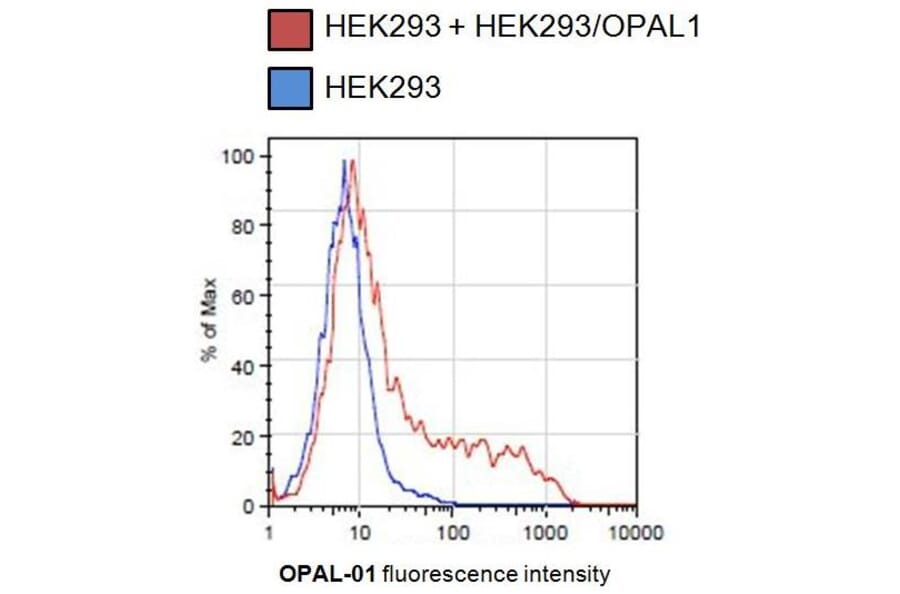 Flow Cytometry - Anti-OPAL1 Antibody [OPAL1-01] (A86398)
