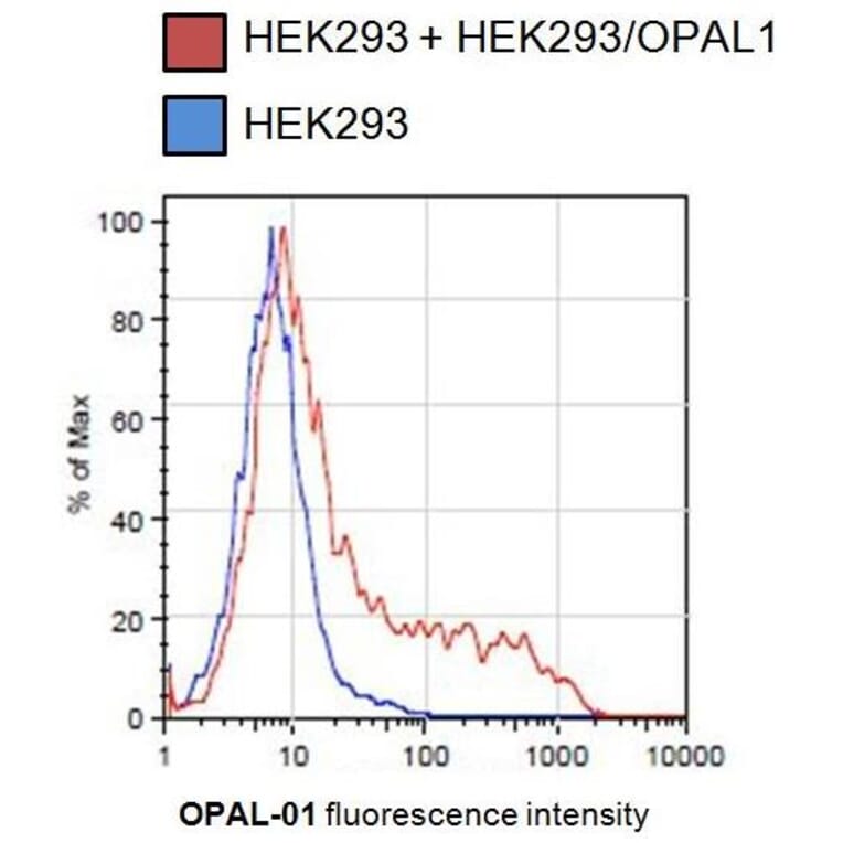 Flow Cytometry - Anti-OPAL1 Antibody [OPAL1-01] (A86398)