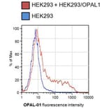 Flow Cytometry - Anti-OPAL1 Antibody [OPAL1-01] (A86398)