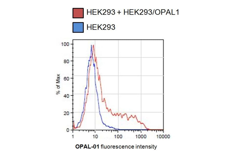 Flow Cytometry - Anti-OPAL1 Antibody [OPAL1-01] (A86393) - Antibodies.com