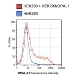 Flow Cytometry - Anti-OPAL1 Antibody [OPAL1-01] (A86393) - Antibodies.com