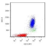 Flow Cytometry - Anti-CD13 Antibody [WM15] (APC) (A86399)
