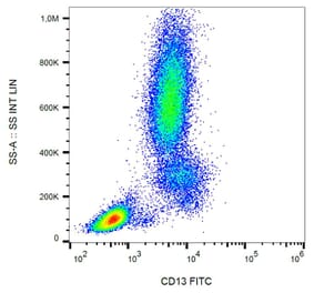 Flow Cytometry - Anti-CD13 Antibody [WM15] (FITC) (A86399) - Antibodies.com