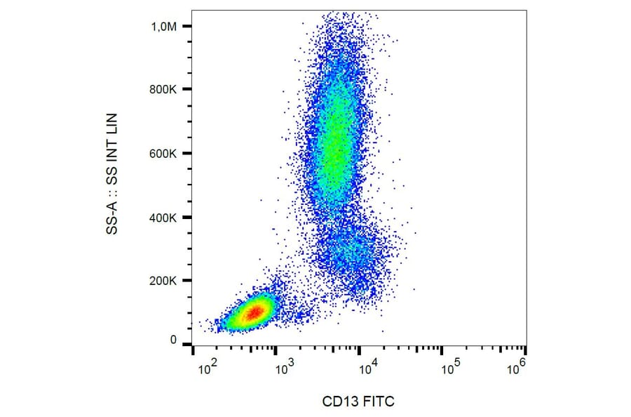 Flow Cytometry - Anti-CD13 Antibody [WM15] (FITC) (A86399) - Antibodies.com