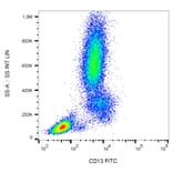 Flow Cytometry - Anti-CD13 Antibody [WM15] (FITC) (A86399) - Antibodies.com