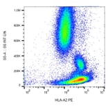 Flow Cytometry - Anti-HLA A2 Antibody [BB7.2] (PE) (A86402)