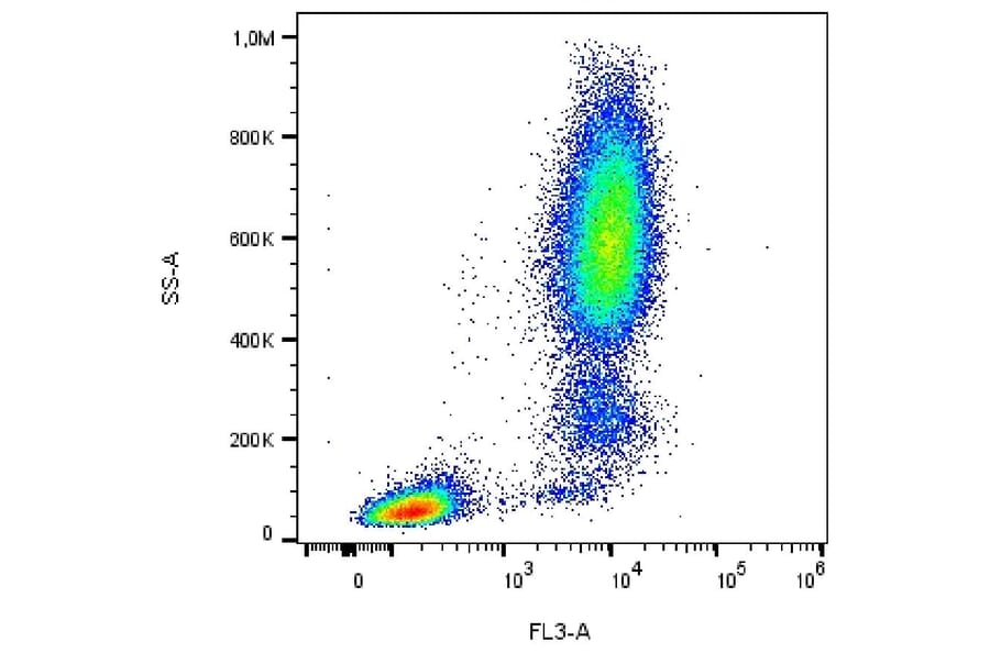 Flow Cytometry - Anti-CD13 Antibody [WM15] (PE-DyLight® 594) (A86403) - Antibodies.com