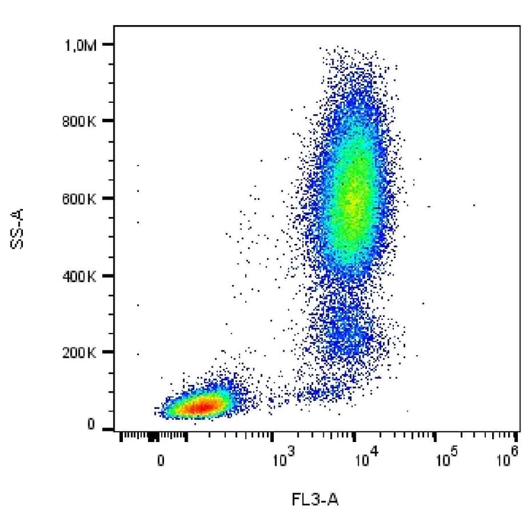 Flow Cytometry - Anti-CD13 Antibody [WM15] (PE-DyLight® 594) (A86403) - Antibodies.com