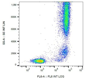 Flow Cytometry - Anti-CD13 Antibody [WM15] (Biotin) (A86407)