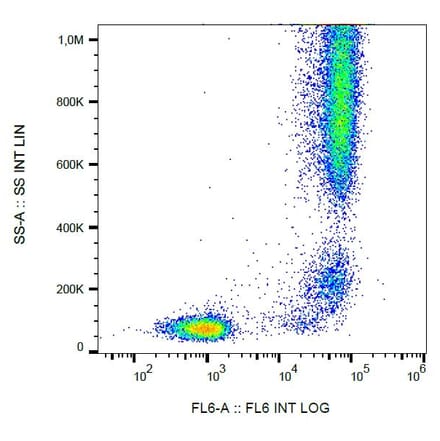 Flow Cytometry - Anti-CD13 Antibody [WM15] (Biotin) (A86407)