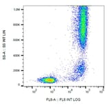 Flow Cytometry - Anti-CD13 Antibody [WM15] (Biotin) (A86407)