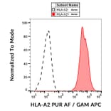Flow Cytometry - Anti-HLA A2 Antibody [BB7.2] - BSA and Azide free (A86408)