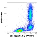 Flow Cytometry - Anti-CD13 Antibody [WM15] - Low endotoxin, Azide free (A86409)