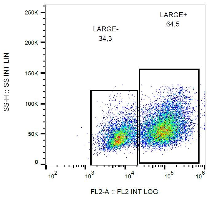 Flow cytometry analysis of LARGE1 in HEK293-LARGE1 transfectants using Anti-LARGE1 Antibody (A86413).