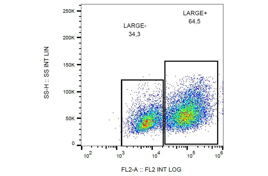 Flow Cytometry - Anti-LARGE1 Antibody [LARGE-02] (PE) (A86411) - Antibodies.com