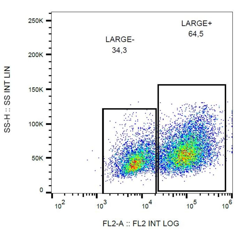 Flow Cytometry - Anti-LARGE1 Antibody [LARGE-02] (PE) (A86411) - Antibodies.com