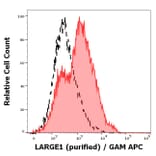 Flow Cytometry - Anti-LARGE1 Antibody [LARGE-02] (A86414)