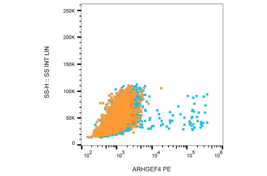 Flow Cytometry - Anti-ARHGEF4 Antibody [ARHGEF-08] (PE) (A86417)