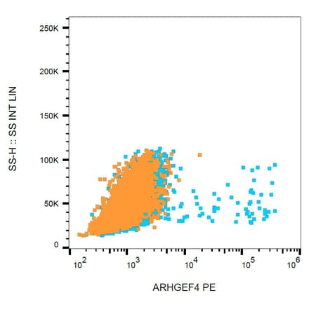 Flow Cytometry - Anti-ARHGEF4 Antibody [ARHGEF-08] (PE) (A86417)