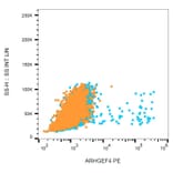 Flow Cytometry - Anti-ARHGEF4 Antibody [ARHGEF-08] (PE) (A86417)