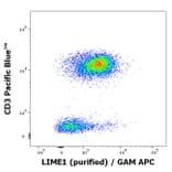 Flow Cytometry - Anti-LIME Antibody [LIME-06] (A86419)