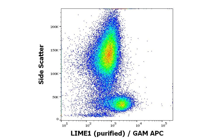Flow Cytometry - Anti-LIME Antibody [LIME-06] (A86419)