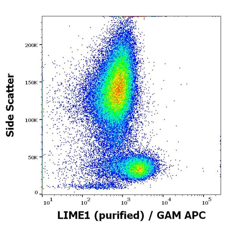 Flow Cytometry - Anti-LIME Antibody [LIME-06] (A86419)