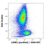Flow Cytometry - Anti-LIME Antibody [LIME-06] (A86419)