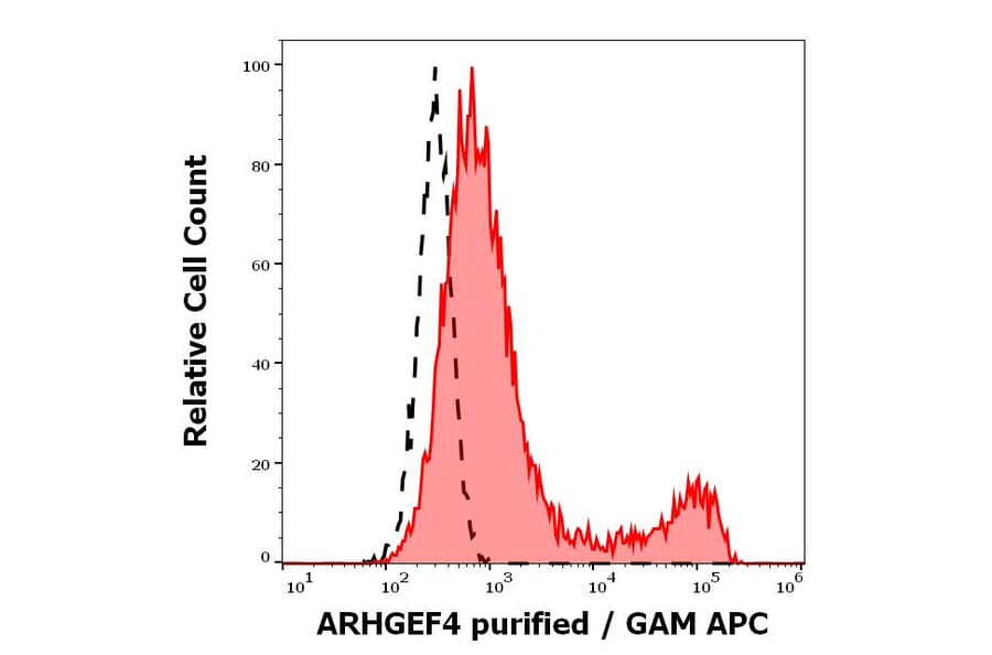 Flow Cytometry - Anti-ARHGEF4 Antibody [ARHGEF-08] (A86420)