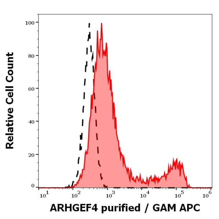 Flow Cytometry - Anti-ARHGEF4 Antibody [ARHGEF-08] (A86420)