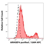 Flow Cytometry - Anti-ARHGEF4 Antibody [ARHGEF-08] (A86420)