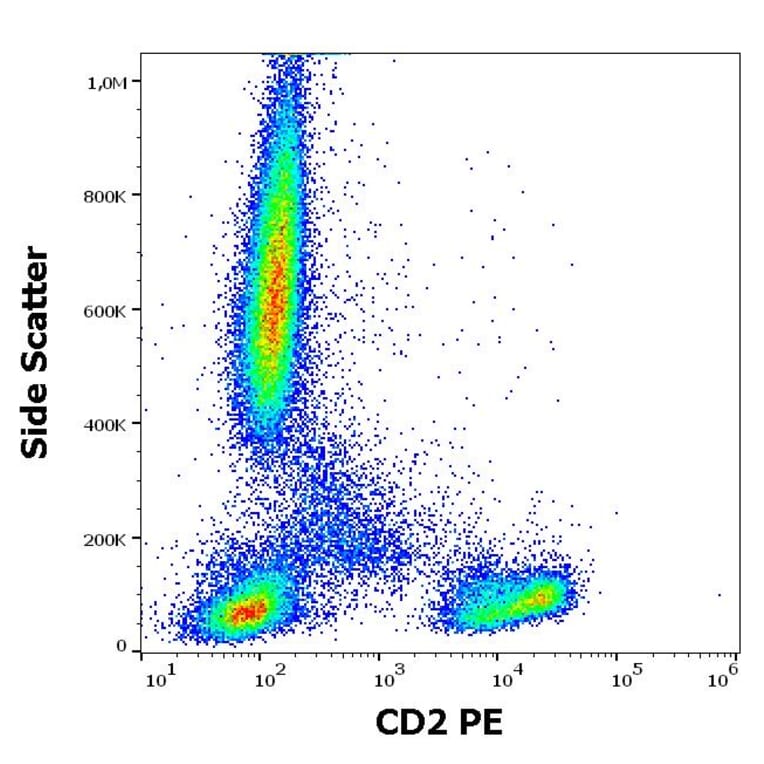 Flow Cytometry - Anti-CD2 Antibody [TS1/8] (PE) (A86422)