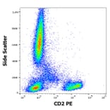 Flow Cytometry - Anti-CD2 Antibody [TS1/8] (PE) (A86422)